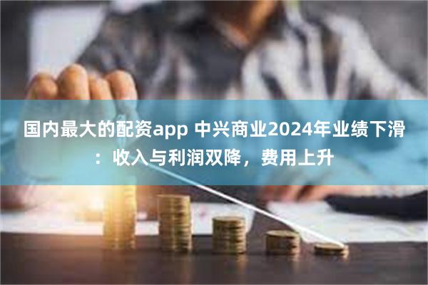 国内最大的配资app 中兴商业2024年业绩下滑：收入与利润双降，费用上升