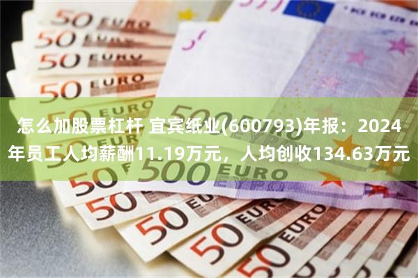 怎么加股票杠杆 宜宾纸业(600793)年报：2024年员工人均薪酬11.19万元，人均创收134.63万元