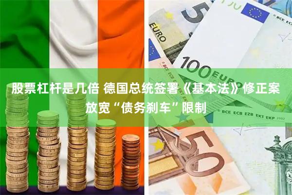 股票杠杆是几倍 德国总统签署《基本法》修正案放宽“债务刹车”限制