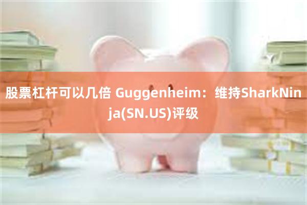 股票杠杆可以几倍 Guggenheim：维持SharkNinja(SN.US)评级