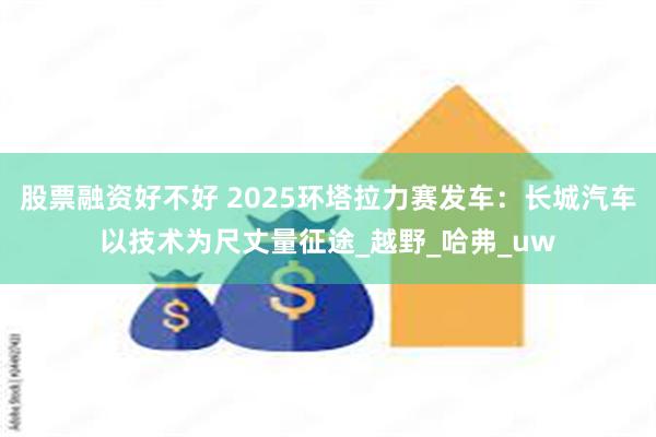 股票融资好不好 2025环塔拉力赛发车：长城汽车以技术为尺丈量征途_越野_哈弗_uw