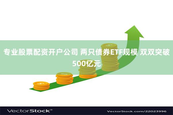 专业股票配资开户公司 两只债券ETF规模 双双突破500亿元